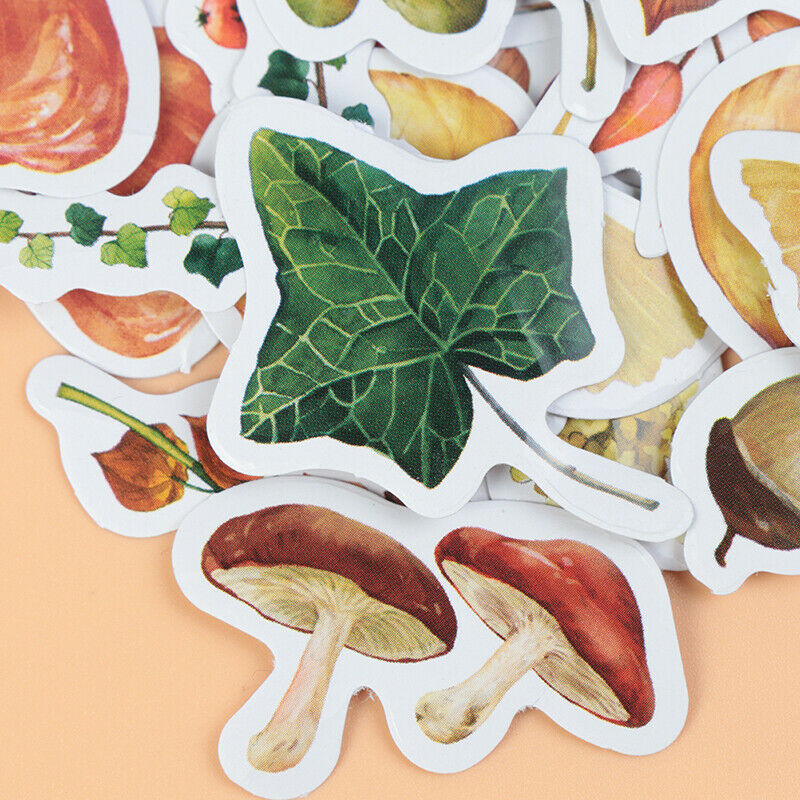 46pcs/lot Autumn Fallen leaves Plant Paper Diary Mini Cute box Stickers  b_h Qx