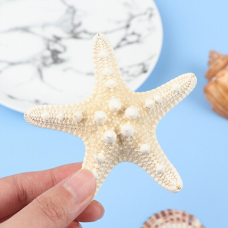 Starfish Crafts Decor Starfish DIY Shell Sea Fish Party Beige Starfish Decor Fx