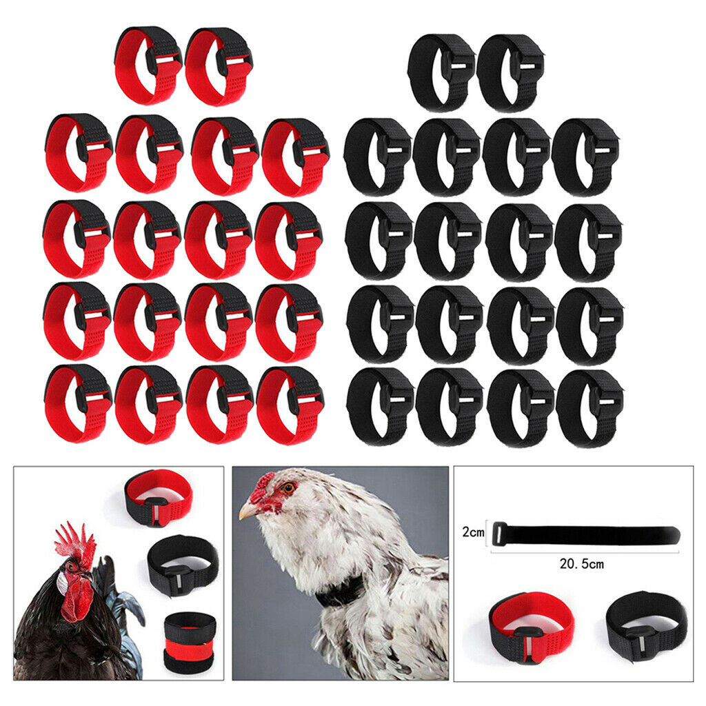 36x Rooster Collar Free Neckband Prevent Rooster from Screaming for Duck