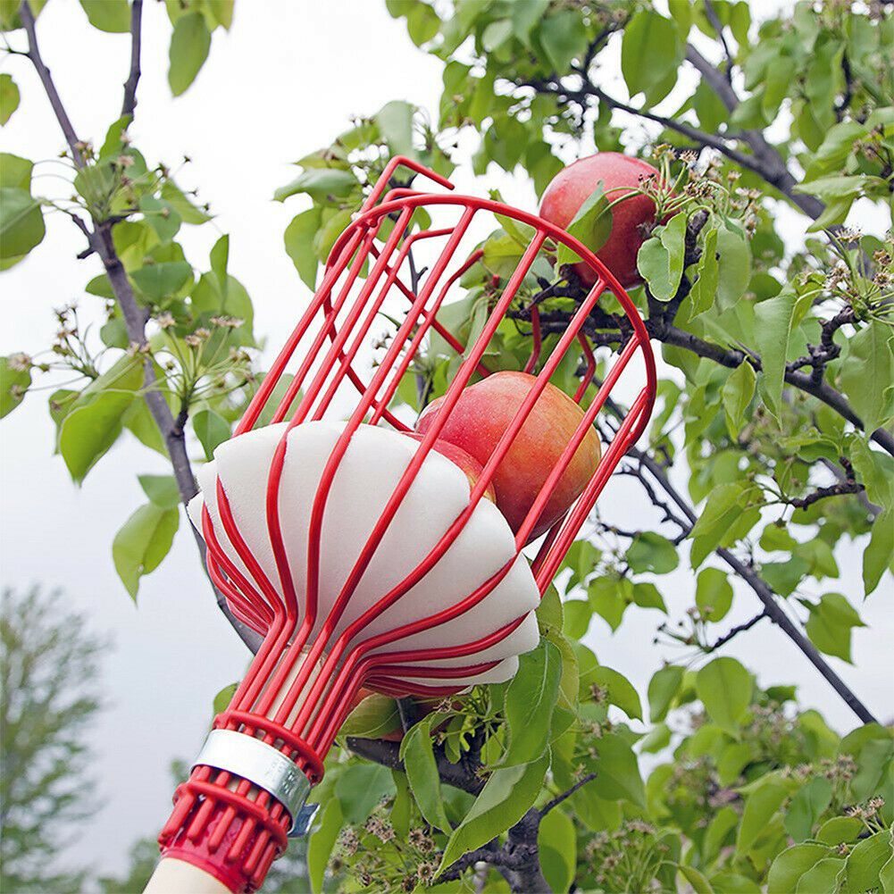 Metal Fruits Picking Tool Greenhouse Apples Peaches Orange Catcher Picker  @