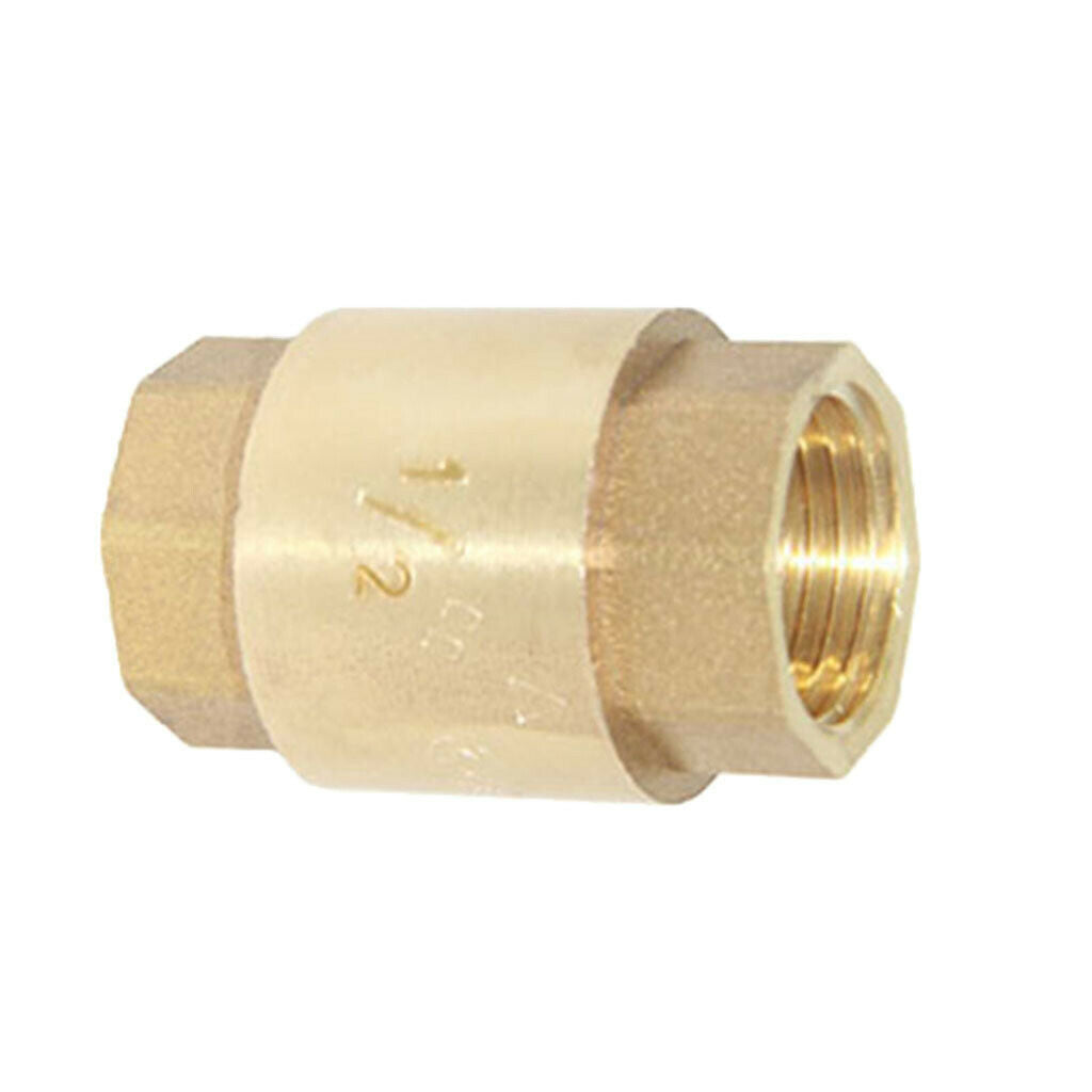1/2 "Vertical Thread Check Valve Spring High Pressure Internal Valve