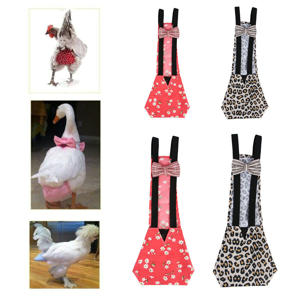 2 x Chicken Diapers with Adjustable Straps, Comfortable, Breathable Suitable for