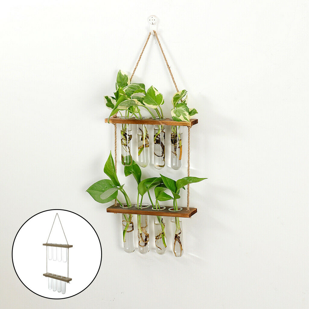 Hanging Hydroponic Terrarium Glass Planter Propagator Indoor Plant Bar Decor