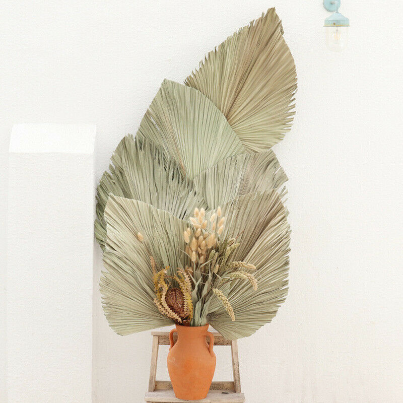 Natural Dried Flower Palm Leaf Fan Plant Party Wall Hanging Wedding Decor DIY