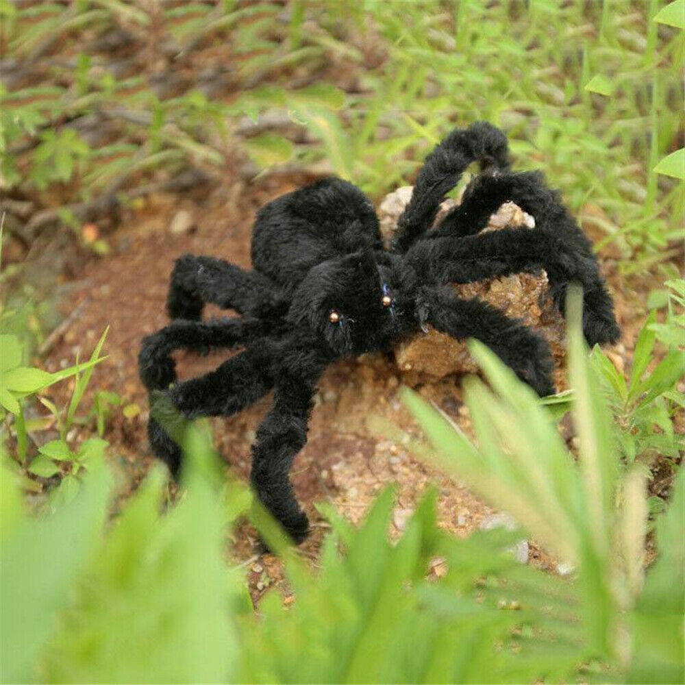 300mm Giant Black Spider Halloween Decoration Indoor Outdoor Haunted House Prop