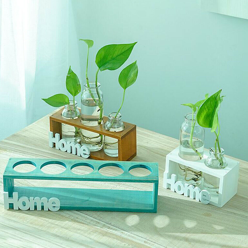 Crystal Glass Test Tube Vase in Wooden Stand Terrarium Glass Planter 3-Wood