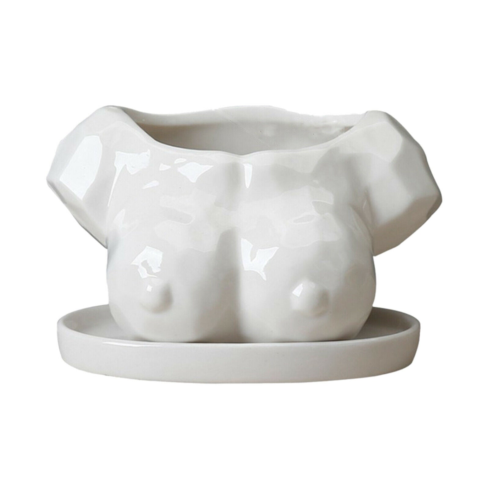 Flower Pots Ceramic Flowerpot Tabletop Decoration Succulent Planter Pot