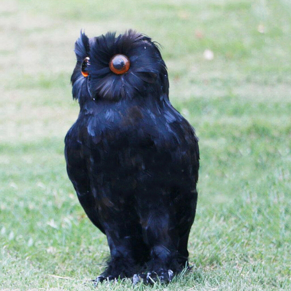 Lifelike Feather Owl Decoy Bird Repellent Scarecrow Halloween Decor Black