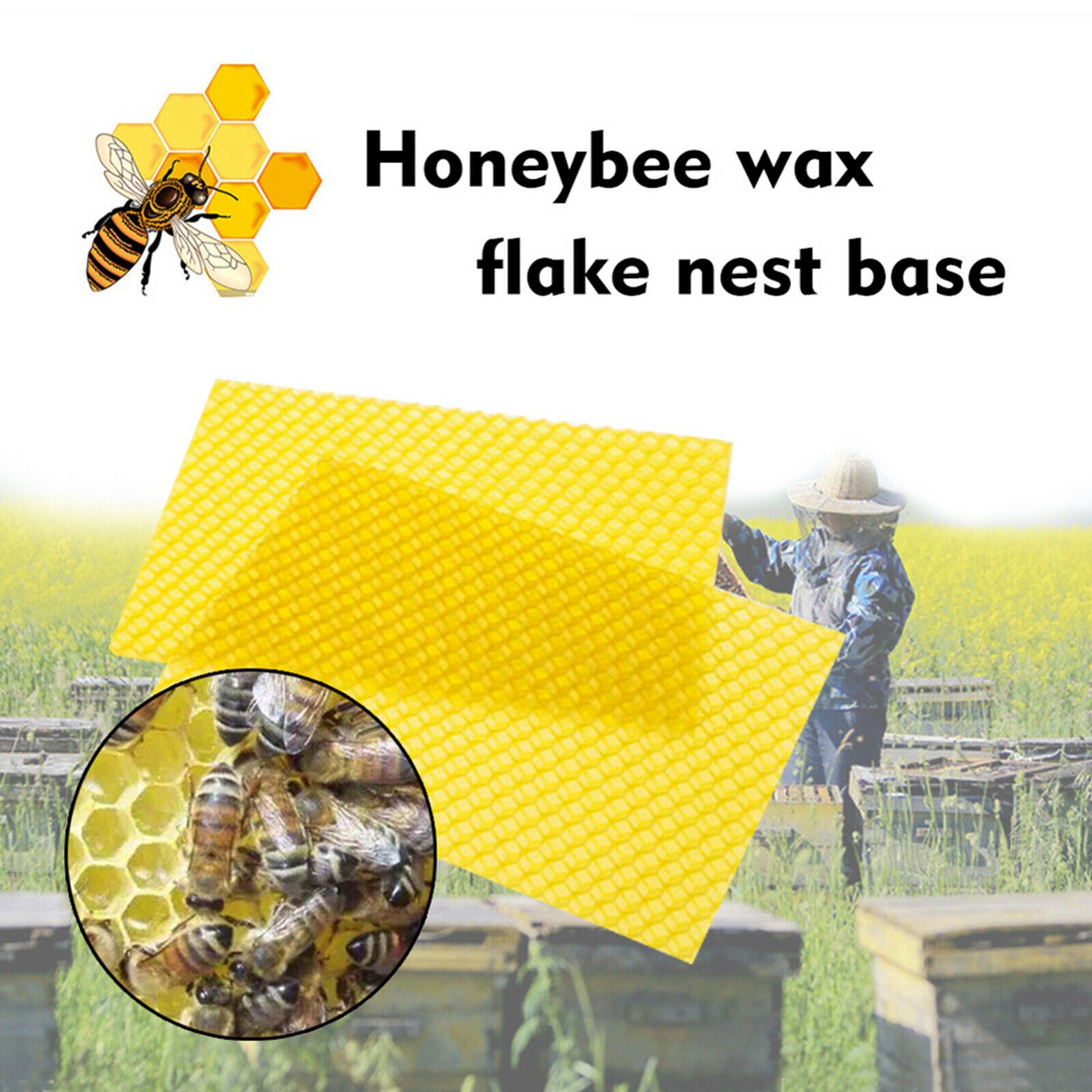 10Pcs Beeswax Sheets Beeswax Foundation Sheets Candle Making Bee Hive Deep