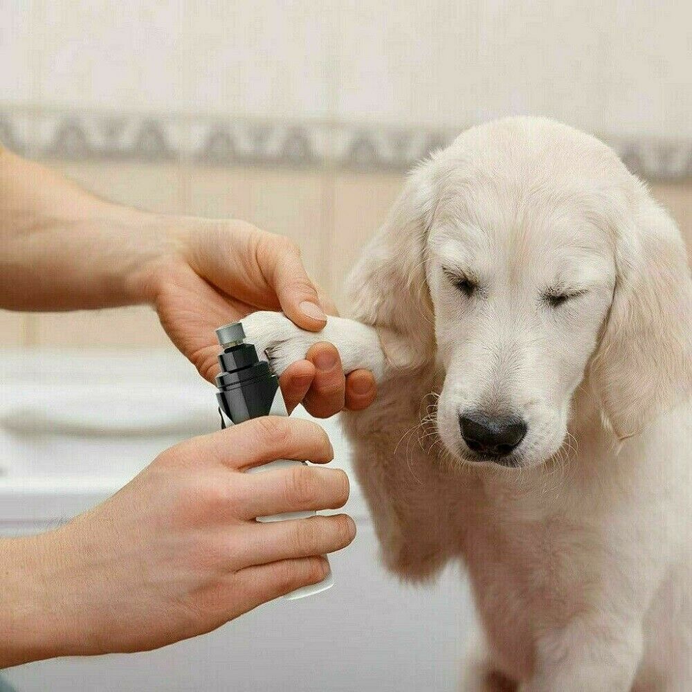 USB Electric Pet Dog Cat Nail Grinder Paws Grooming Trimmer Clipper Tool 5 hours