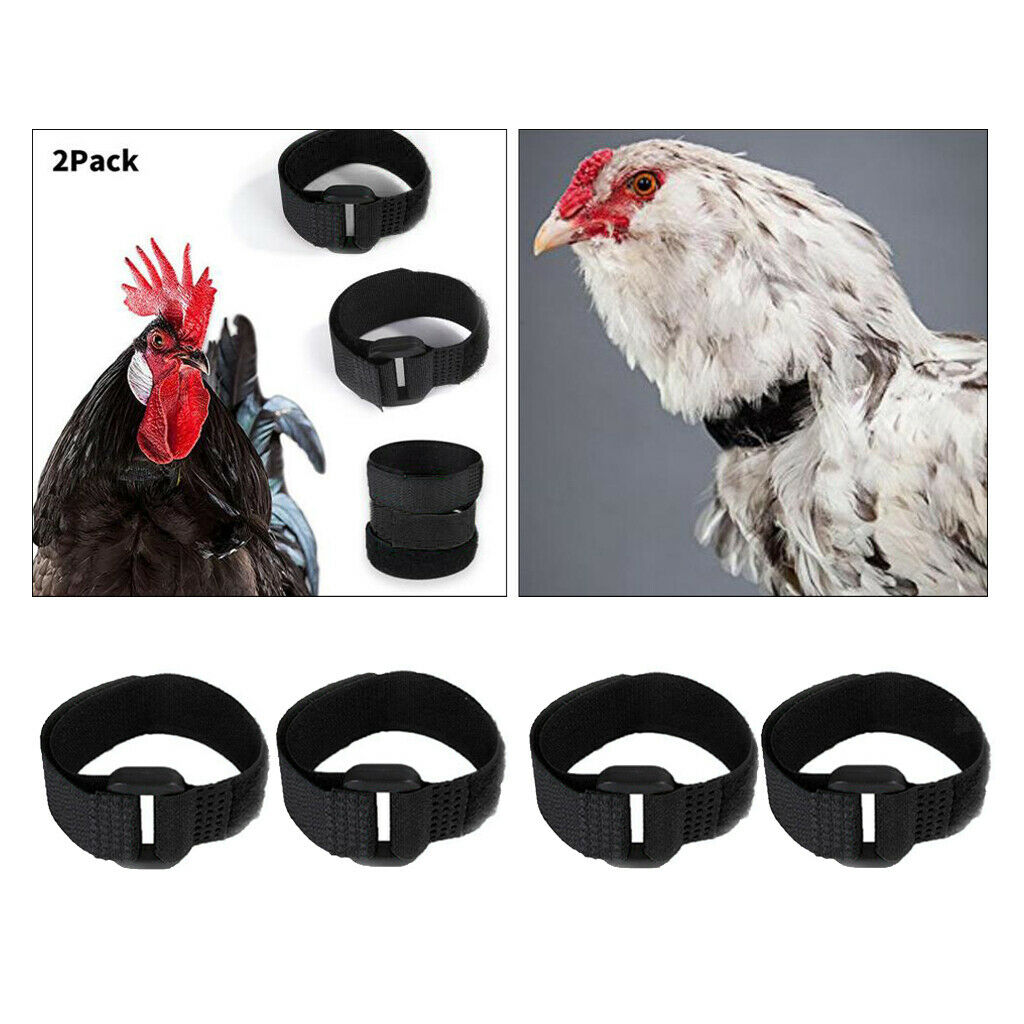 Set of 4 Rooster Collar Prevent Chicken from Screaming for Rooster Black