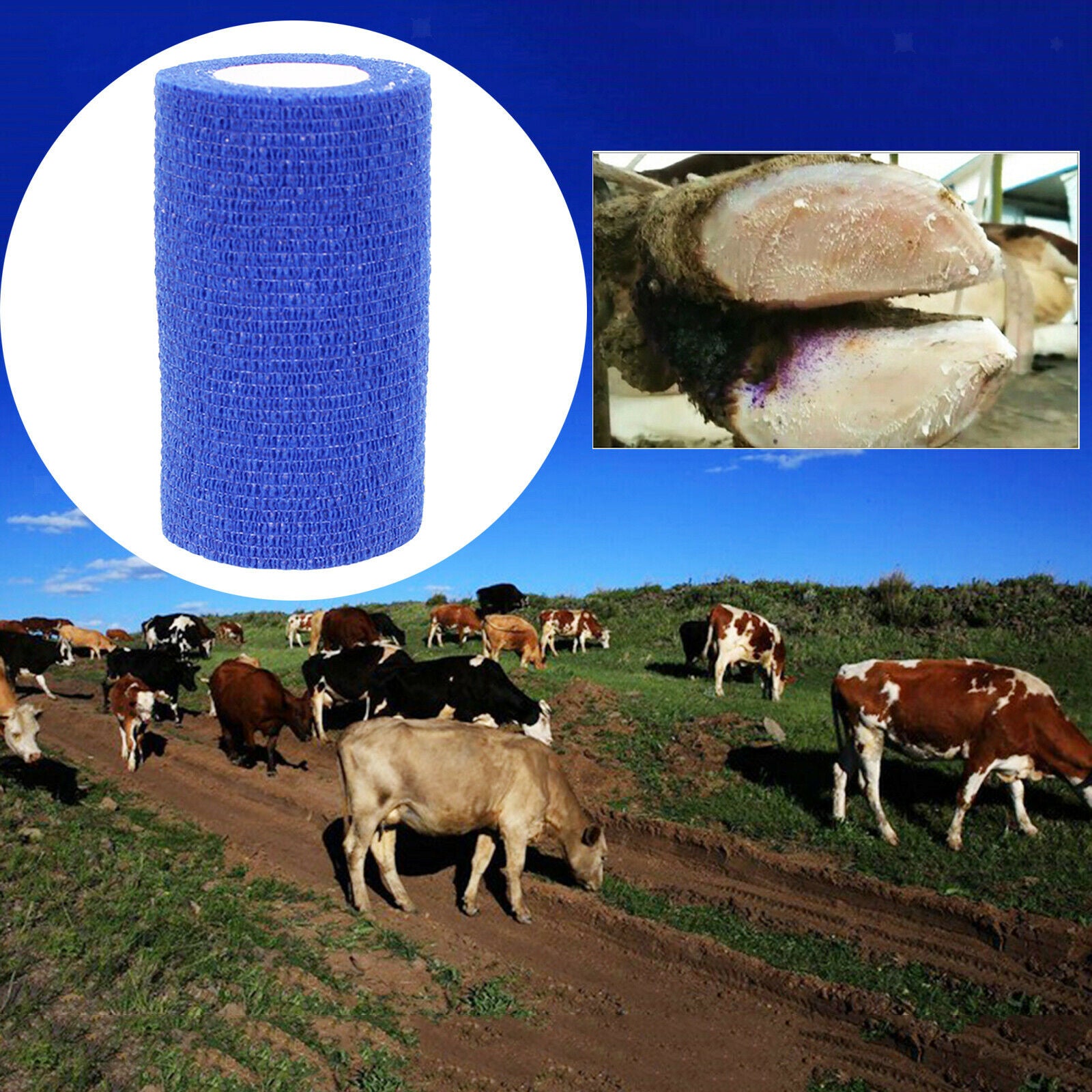 Gauze Rolls Non-Woven Stretched Cohesive Bandage for Dogs Animals 10x450cm
