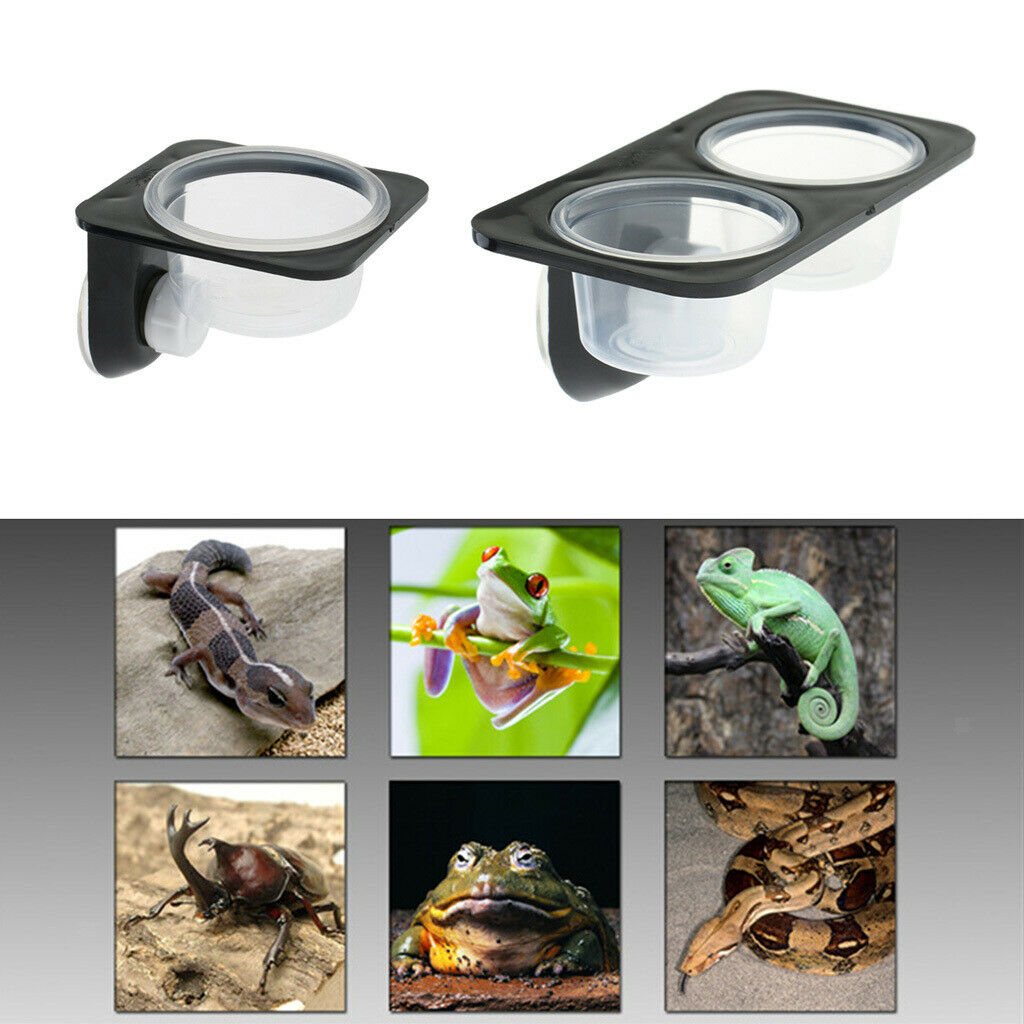 2 Pack Plastic Reptiles Food Water Feeding Bowl Insects Spider Breeding Tank Box