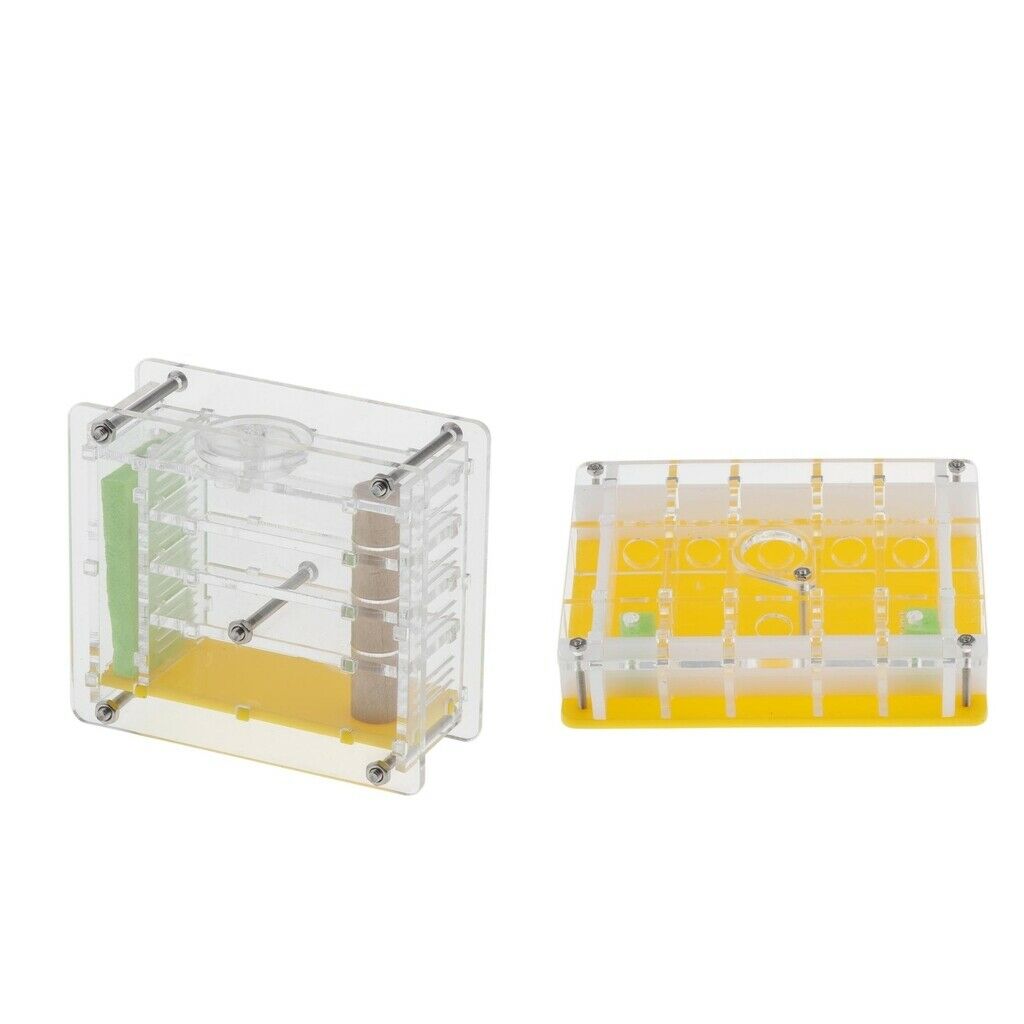 2pcs/set Ant Housing Nest Insect Cage Educational Formicarium for Live Ants