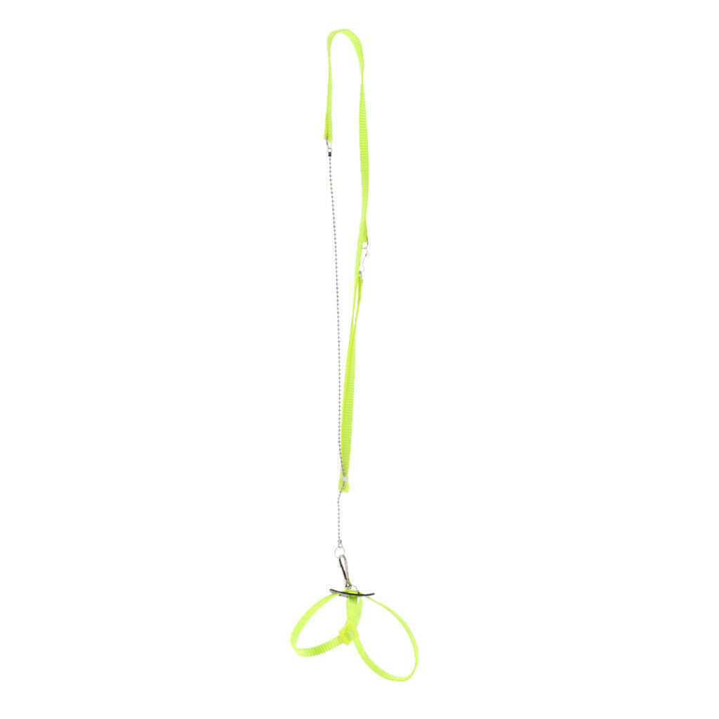 Parrot Bird Harness Leash Adjustable Anti-bite Rope With Birds Soft Diaper