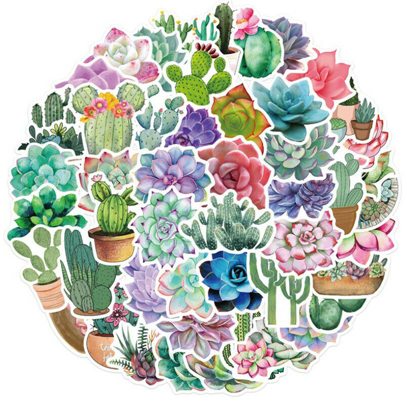 50Pc Cartoon Succulent Cactus Plant Stickers Luggage Guitar Graffiti Stic.l8