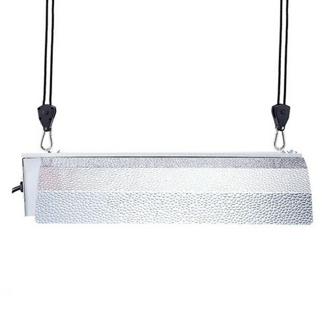 2 Pieces  1/8 Rope Ratchet Hanger