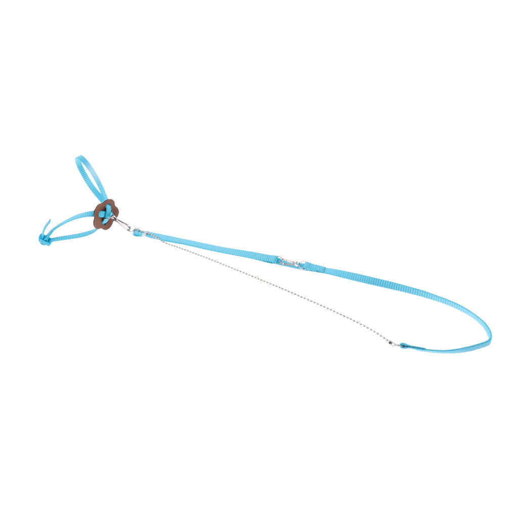 2 Pieces Adjustable Reptile Lizard Harness Leash Yellow and Blue Color Light