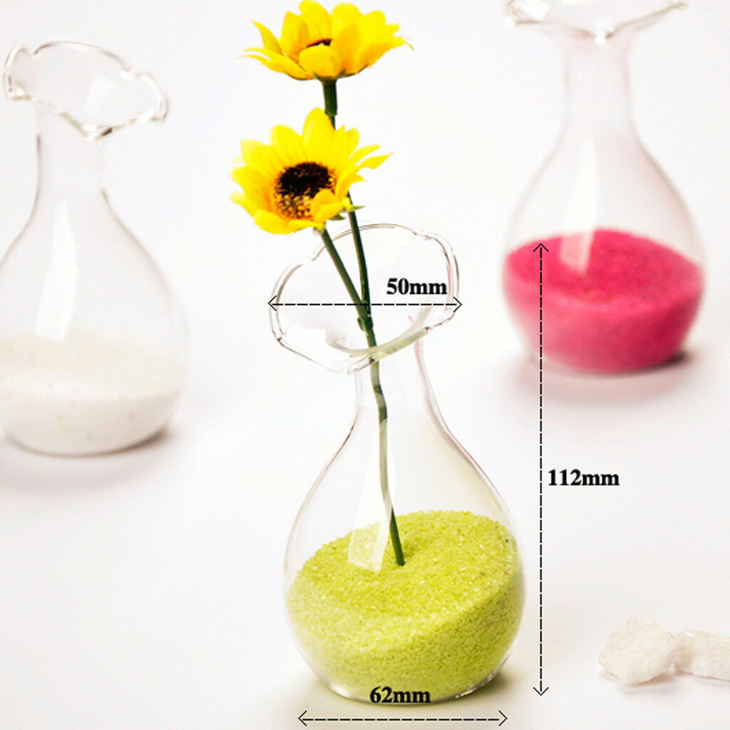 European Glass Flower Hydroponic Vase Bottle Terrarium Container Home Decor