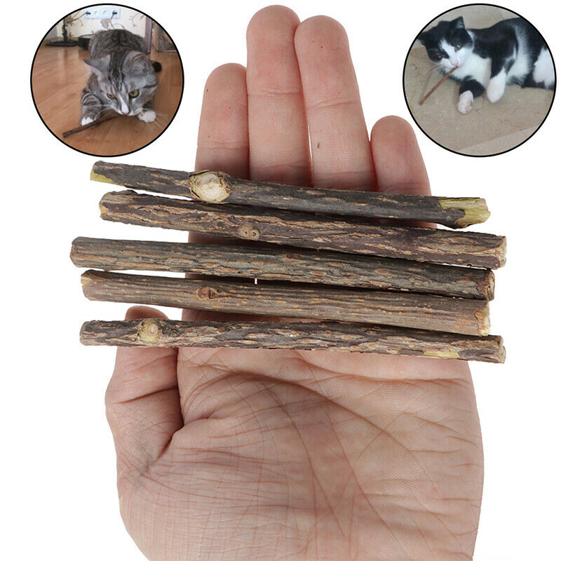 5x Cat Cleaning Teeth Pure Natural Catnip Stick Pet Molar Toothpaste Snac.l8