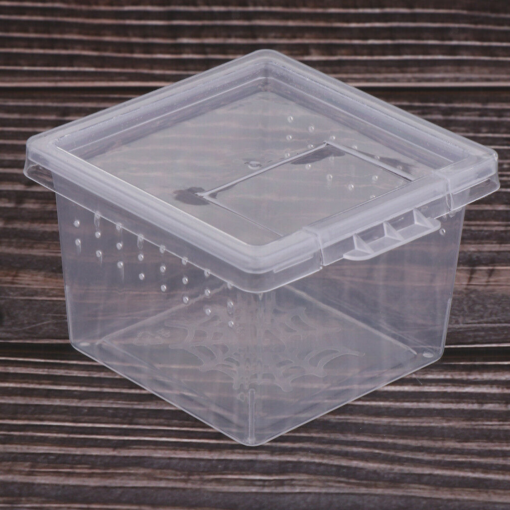 Set of 40 Clear Pet Reptile Spider Breeding Feeding Box Hatching Container