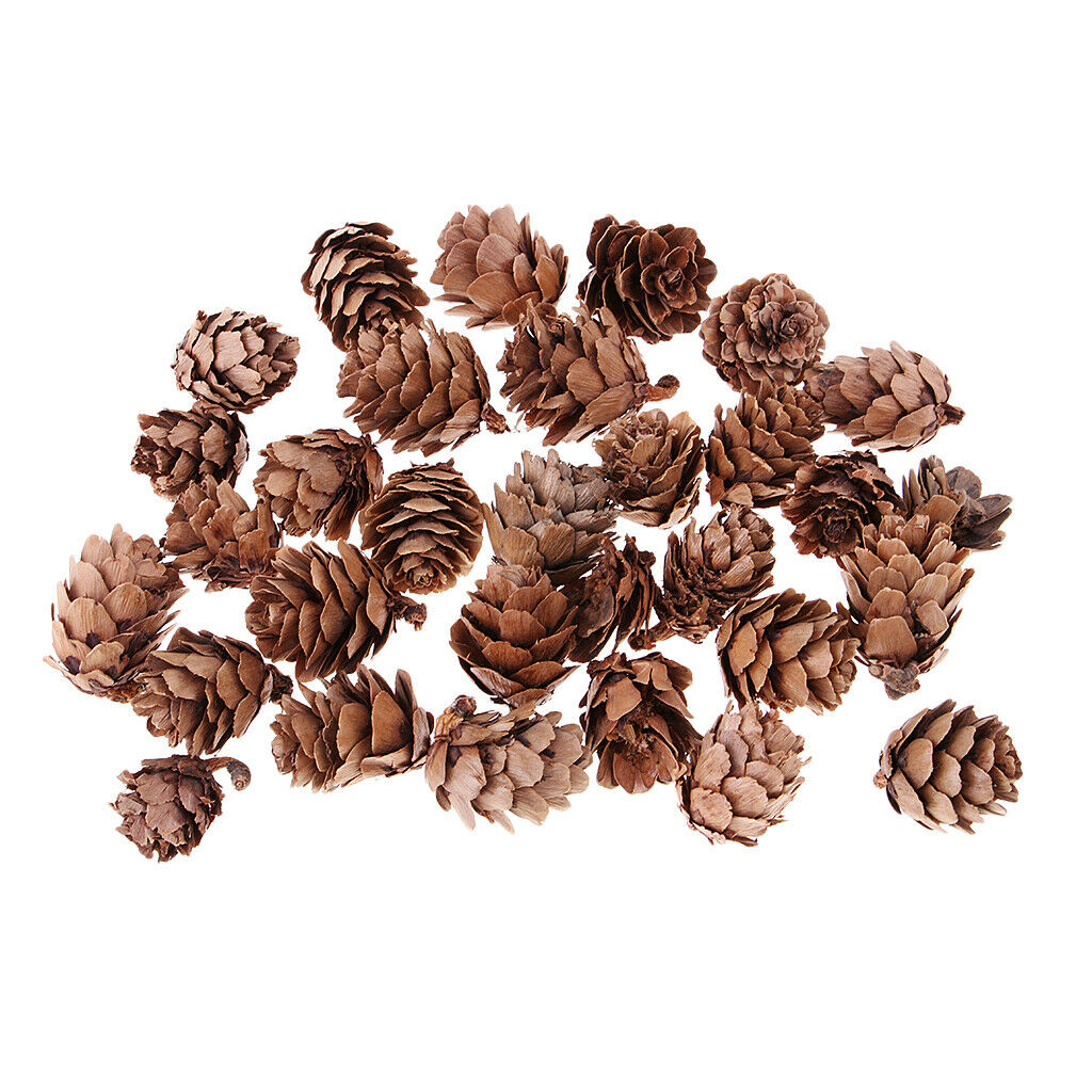 120pcs Mini Natural Small Pine Cone Pinecone Photo Props Wedding Party Ornament