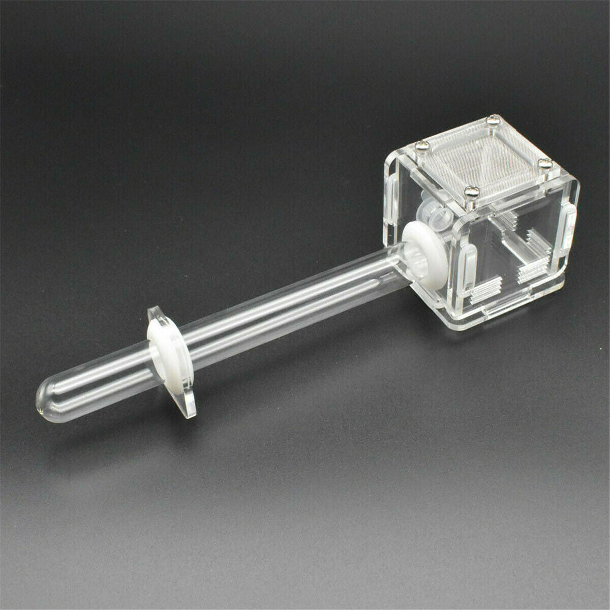 Acrylic Mini Ant Nest Glass Nest Tube Farm Formicarium Small Colony Feeding Area