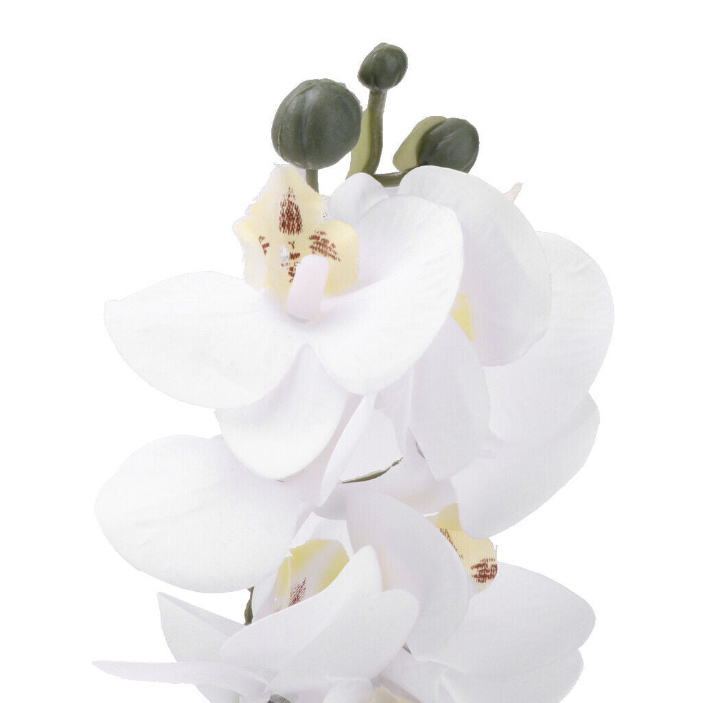 Artificial Flowers Head 12 Orchid Phalaenopsis Home Garden Decor White