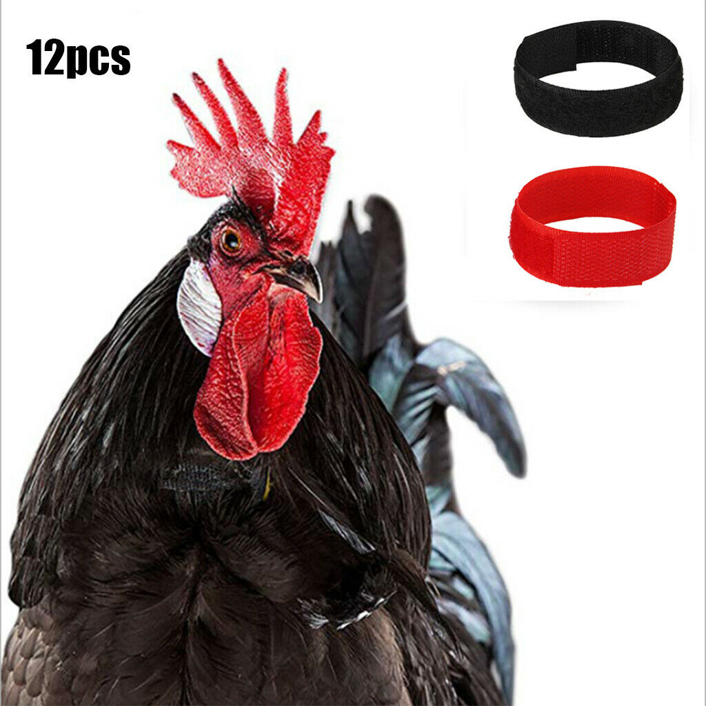 12pcs No Crow Collar for Roosters Chicken No Crowing Noise Free Black&Red