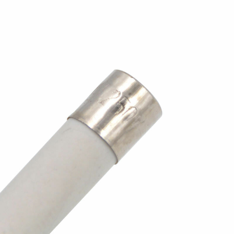 10pcs Microwave Ceramic Fuse Electric 20A 250V Home Supplies DIY 6x30mm