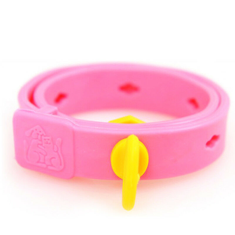 Dog Kitten Adjustable Pet Collar Neck Strap Remedy Anti Flea Mite Acari TickBDD