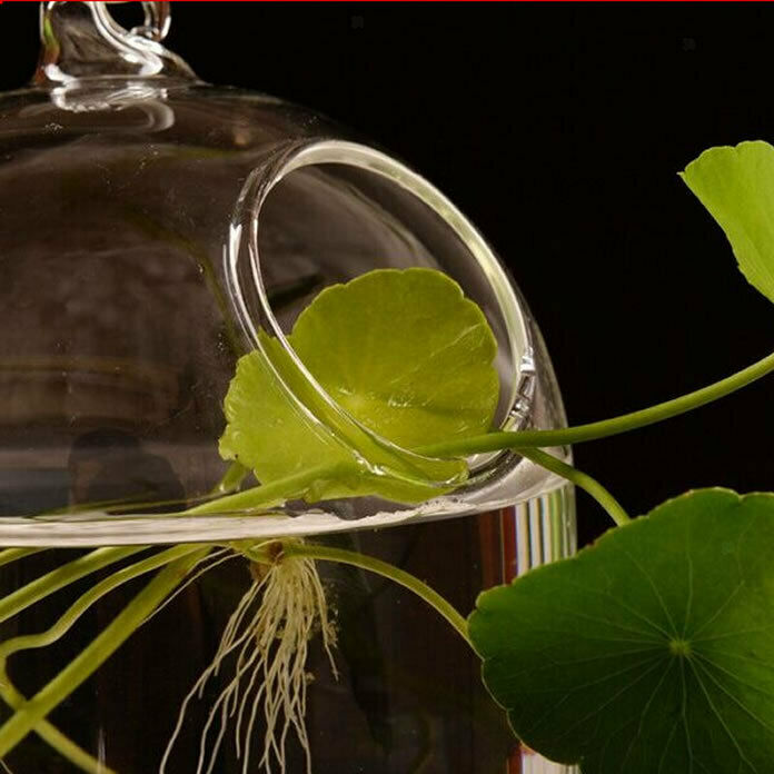Hanging Glass Flower Vase Bottle Hydroponic Terrarium Container Home Decor L