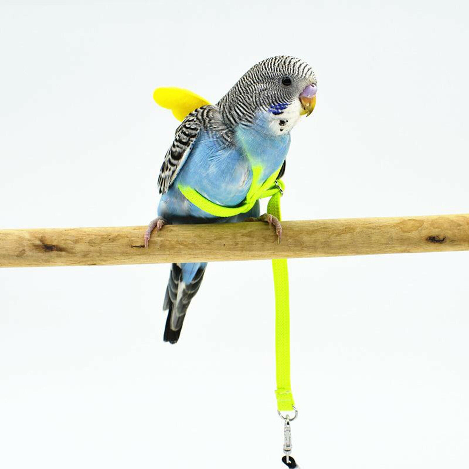Pet Leash Parrot Bird Adjustable Harness Flying Training Rope Yellow 7mm