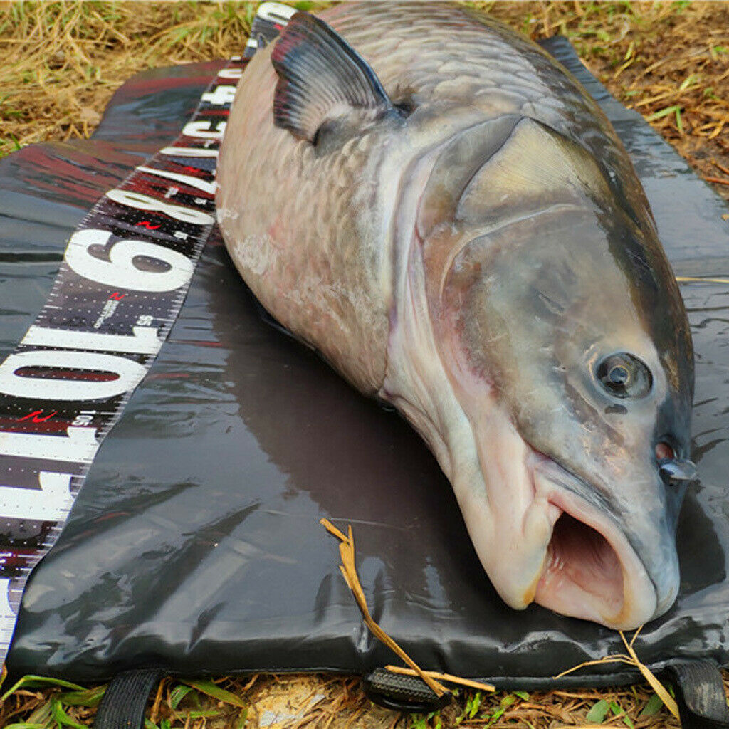 Carp Fishing Unhooking Landing Mat 97 X 47cm Outdoor Fishing Accessories