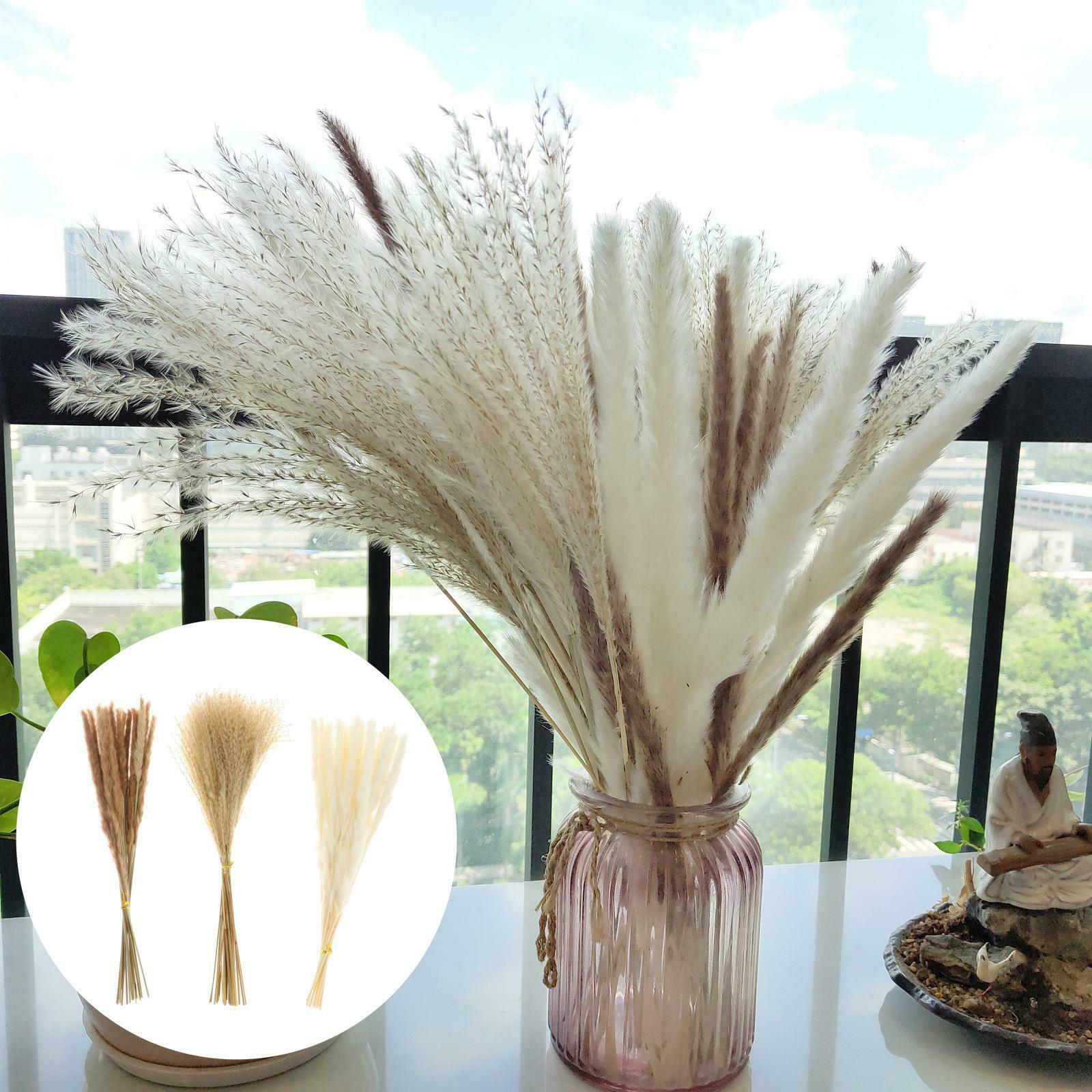Pampas Grass Natural Dried Pampas Grass Decor for Home Arrangements, Pampas