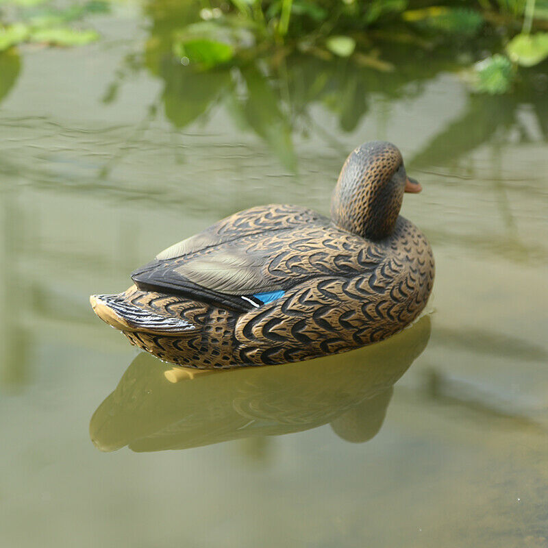 Duck Decoy With Floating Keel For Hunting