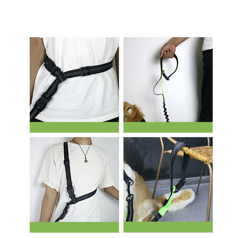 Adjustable Dog Walking Bungee Lead Strong Coupler Elastic Anti Strain Leash NEW