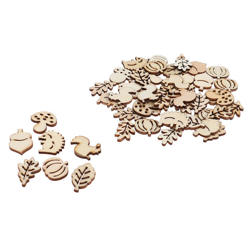 50x Mixed Wooden Craft Squirrel Leaves Mushroom Shape Hedgehog Decoration.l8