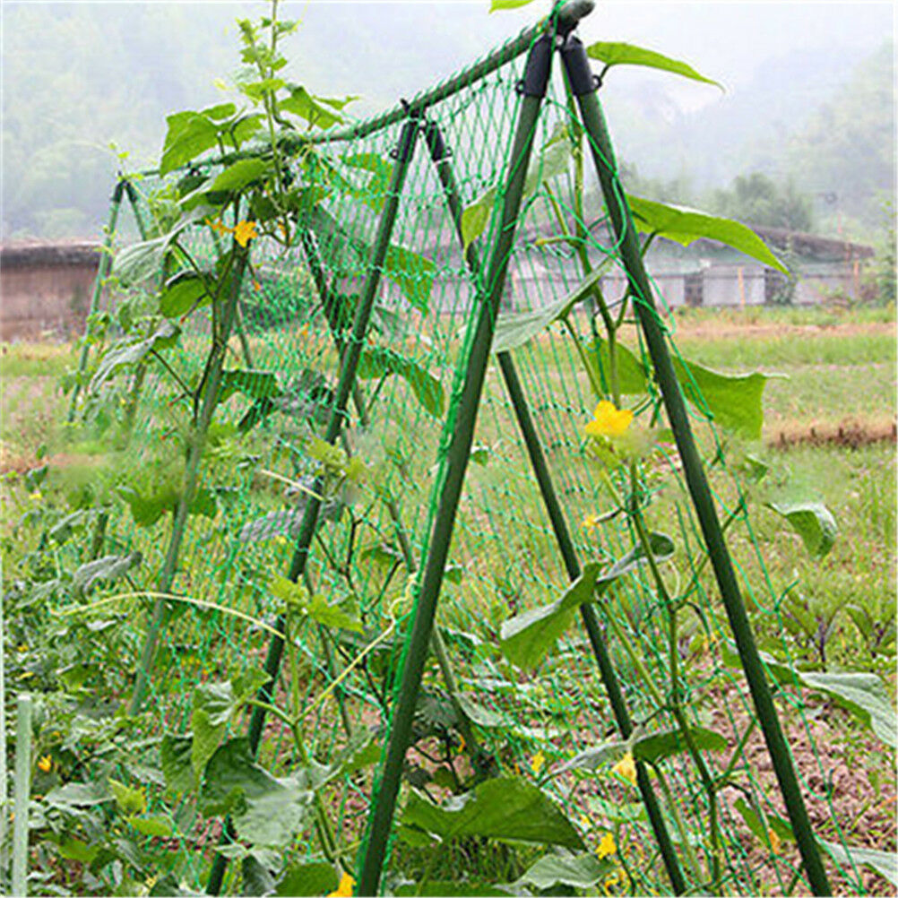 1.8x1.8m Garden Green Nylon Trellis Netting Support Climbing Plant Nets Fence TL