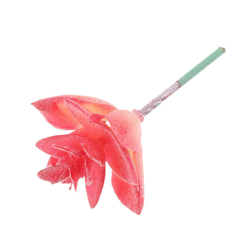 Realistic Red Home Garden Faux Artificial Succulent Cactus Potted Plant