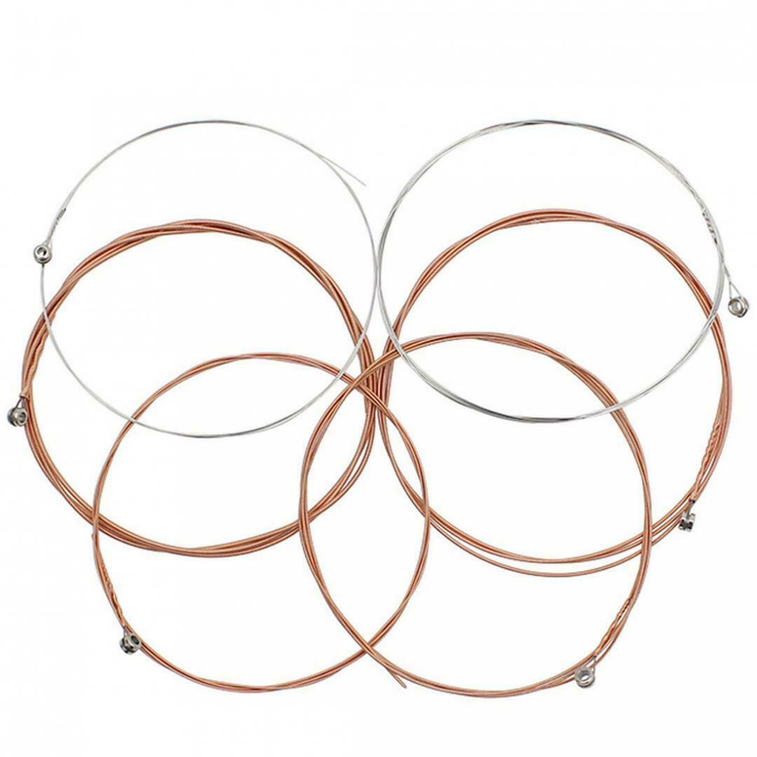 Folk Acoustic Guitar Strings +Straps Lock Pins Screws Pegs+ String Nail Pins