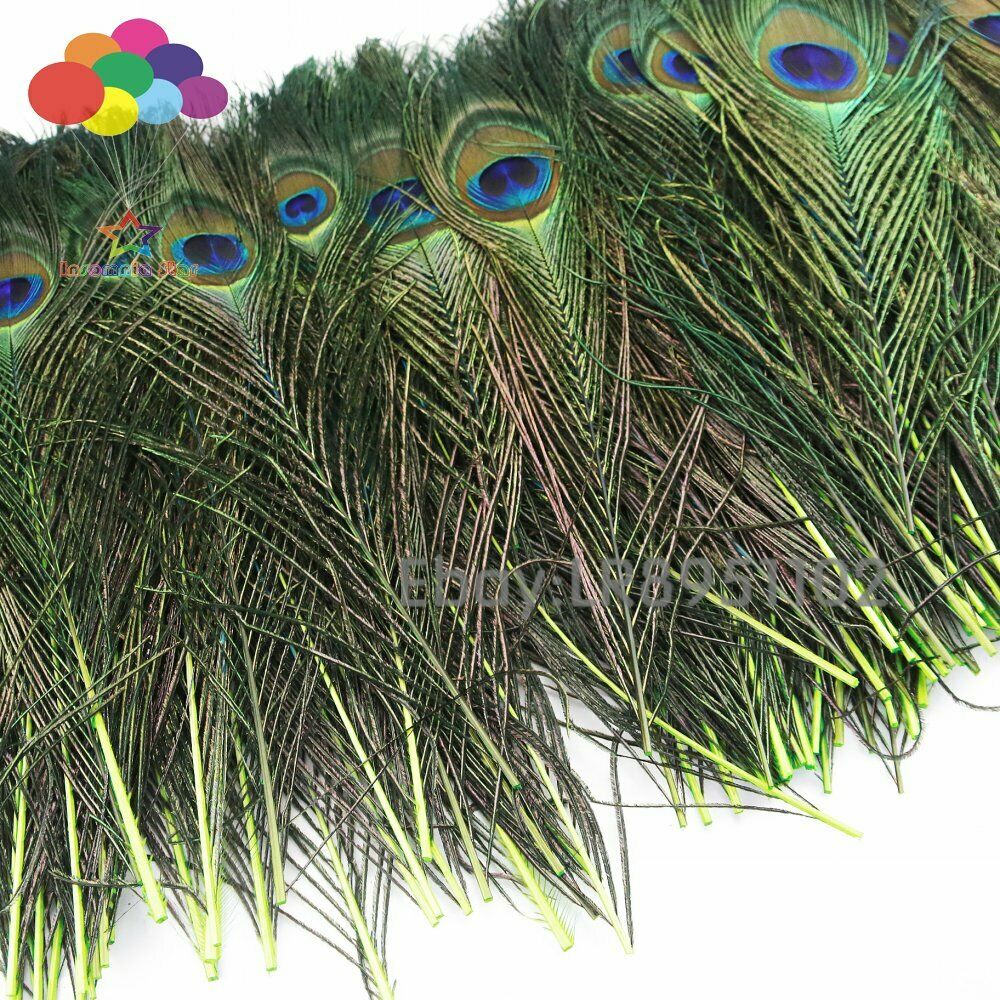 100 PCS Fluorescent Peacock Feather 25-30 cm Clothing Decoration Plumage Fashion