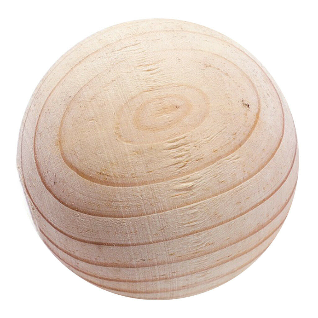 Round Driftwood Rustic Wood Shaped for Northumbrian Coastline DIY Decorating