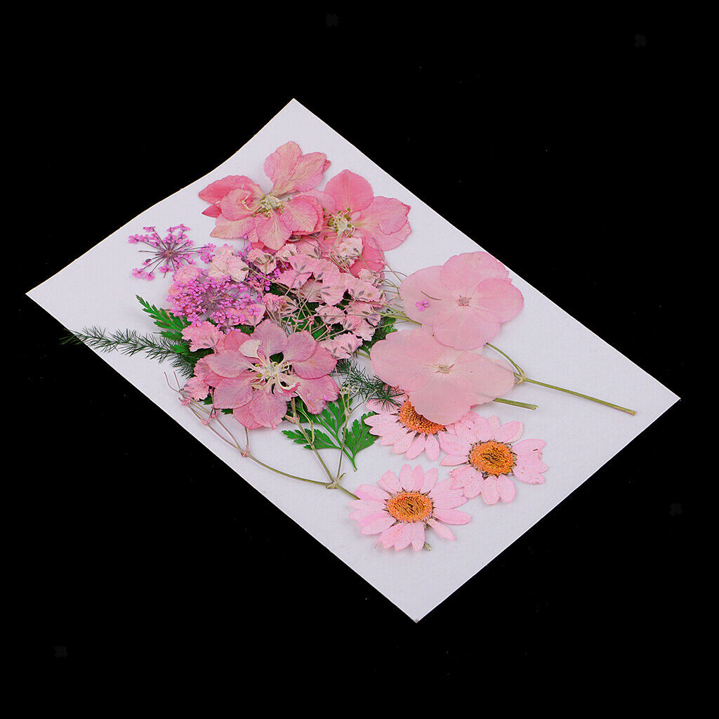 3 bags Dried Flower Leaf for Embellishment Crafts DIY Card Making Decor Ornament