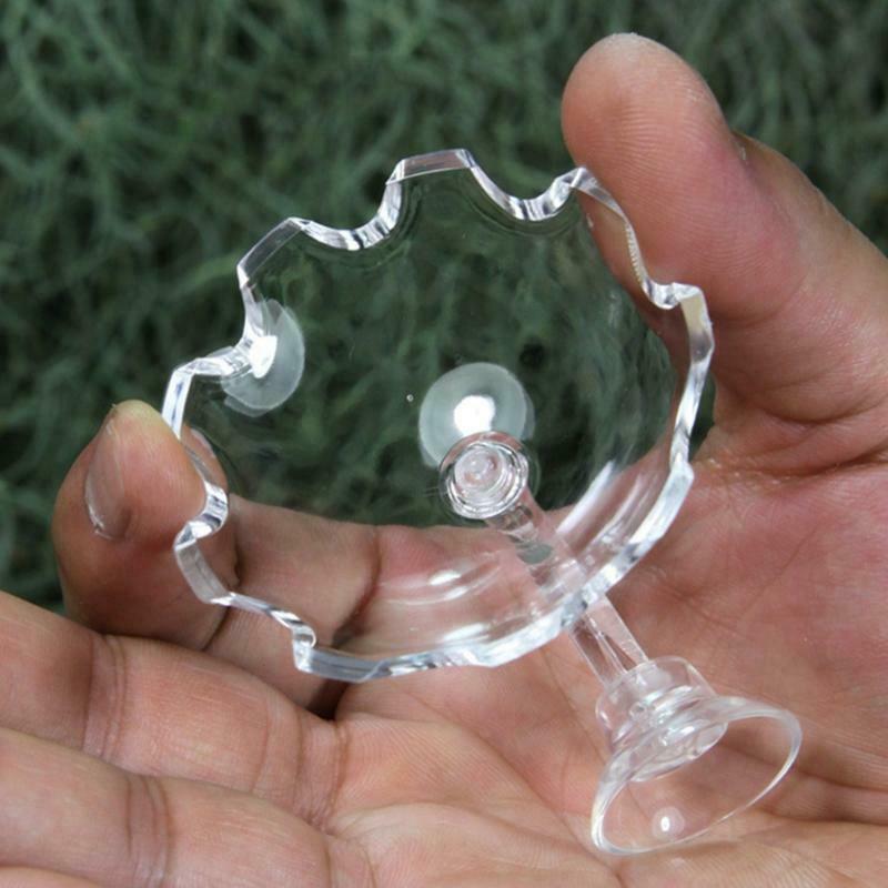 Shrimp Feeder Bowl Easy Fixed Clear Color Fish Feeding Dish with Durable Glass