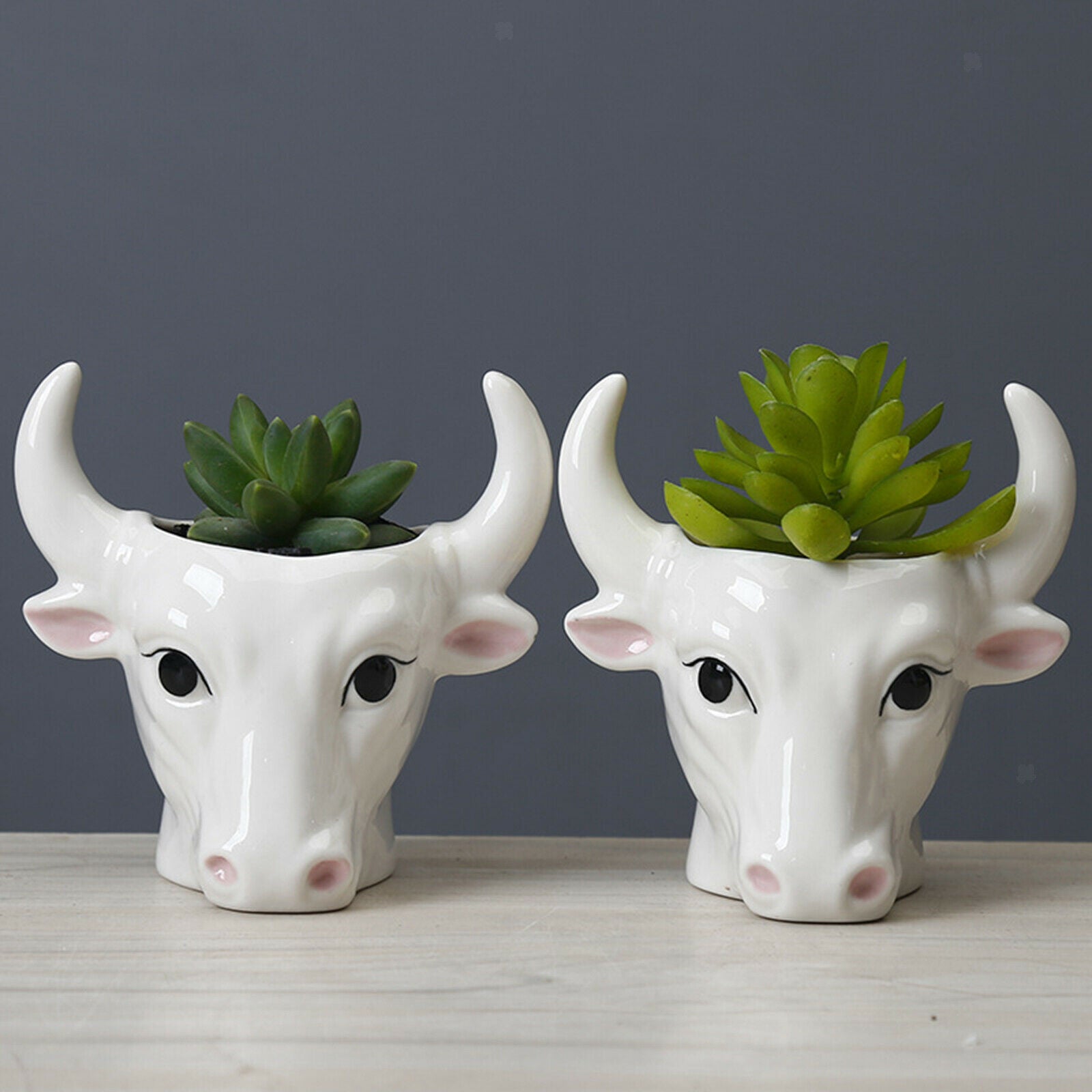 Cute Ceramic Mini Bull Shape Succulent Pot Flower Planter Flowerpot Decor