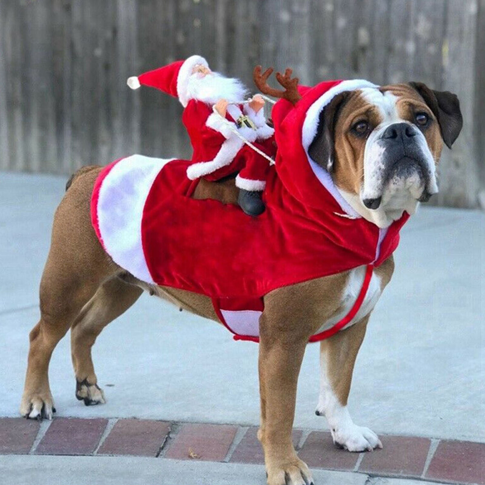 Christmas Santa Claus Pet Dog Fancy Dress Jacket Coat Costume Outfit Clothes XXL