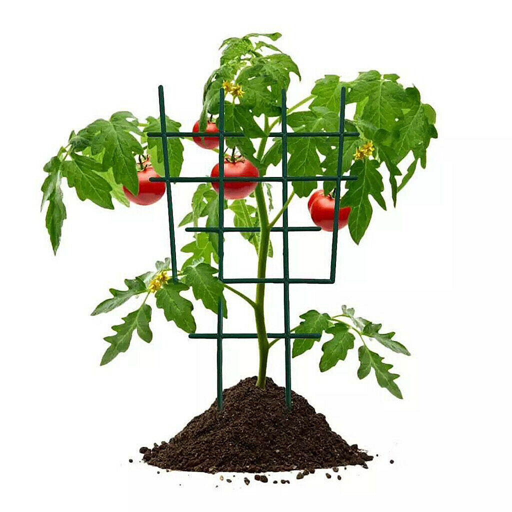 Mini Garden Trellis Flowers Vegetables Tomato Support for Climbing Plant