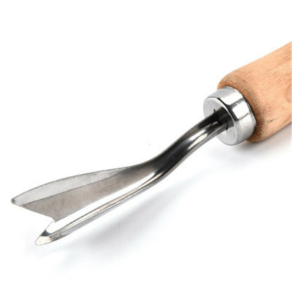 Kitchen Salad Tool Pineapple Peeler Stainless Steel Corer Slicer Clip Cut.l8