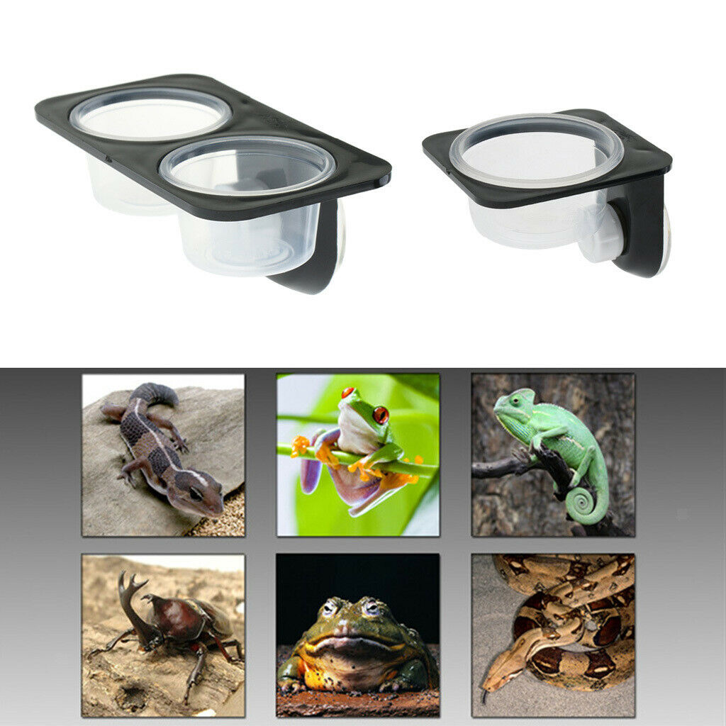 3 Pieces Dual Single Reptile Feeding Bowl with Suction Cup for Worm Spider